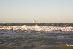 Havet. Foto: Linda Dahlström