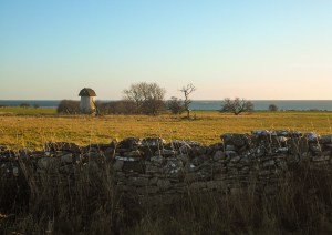 Stora Gåsemora, Fårö. Foto: Linda Dahlström
