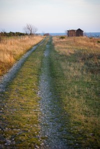 Fårö. Foto: Linda Dahlström