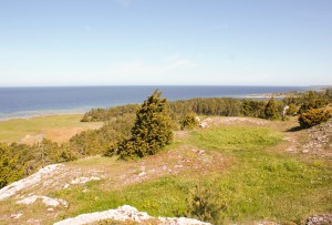 Brucebo. Foto: Linda Dahlström