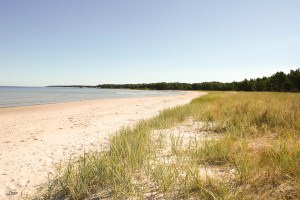 Ekeviken. Foto: Linda Dahlström