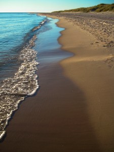 Gotska sandön. Foto: Linda Dahlström