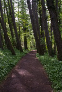 Kärleksstigen. Foto: Linda Dahlström