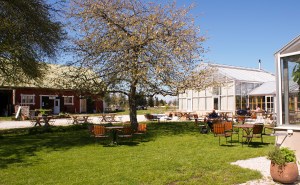 Lilla Bjers. Foto: Linda Dahlström