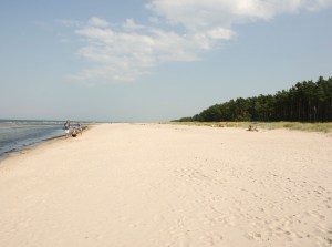 Norsta Auren. Foto: Linda Dahlström