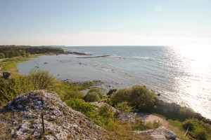 Snäck. Foto: Linda Dahlström