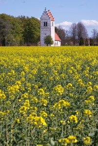 Foto: Linda Dahlström