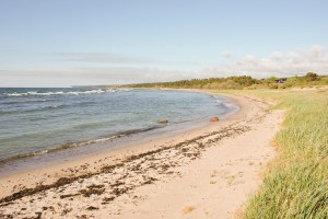 Brissund. Foto: Linda Dahlström