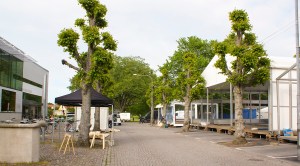 Onsdag 24 juni 2015, förberedelserna inför årets Almedalsvecka är i full gång. Foto: Linda Dahlström