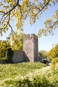 Snäckgärdstornet. Foto: Linda Dahlström