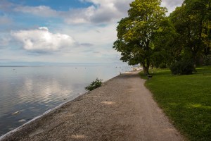 Vindstilla morgon på Strandpromenaden. Foto: Linda Dahlström