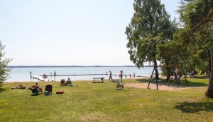 Tingstäde träsk. Foto: Linda Dahlström 