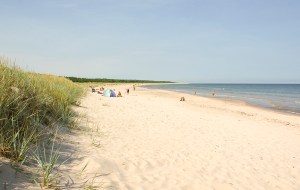 Fårö. Foto: Linda Dahlström