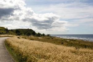 Husrygg. Foto: Linda Dahlström