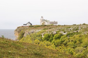 Stora Karlsö. Foto: Linda Dahlström