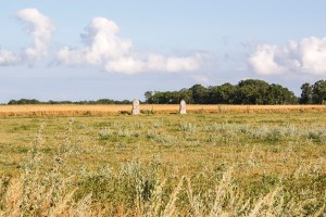 Bro stainkällingar. Foto: Linda Dahlström