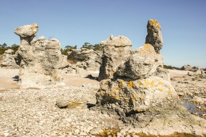 Folhammar. Foto: Linda Dahlström