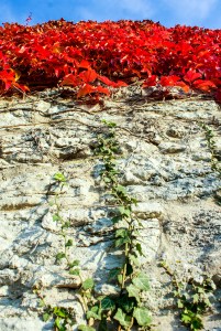 Detalj av ringmuren. Foto: Linda Dahlström