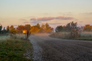Vägen ut till Galgberget. Foto: Linda Dahlström
