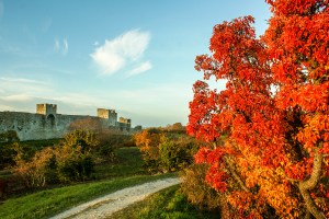 Sträcka av ringmuren mellan Öster och Norder. Foto: Linda Dahlström