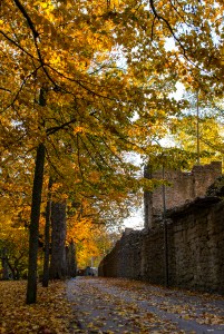 Studentallén. Foto: Linda Dahlström