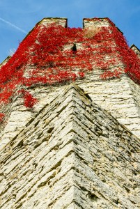 Torn, ringmuren. Foto: Linda Dahlström