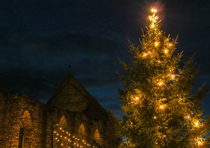 Sankta Karin och granen på Stora torget. Foto: Linda Dahlström