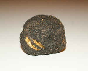 Tryffel. Foto: Mikael Dahlström